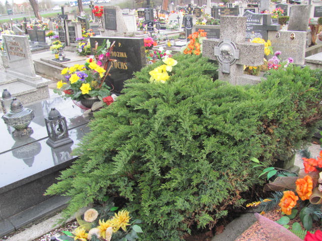 Grób Bartosz Klinik