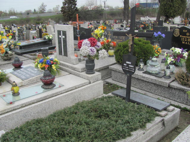 Grób Józef Janusz
