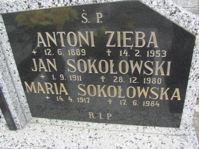 Jan Sokołowski 1911 Czechowice Dziedzice - Grobonet - Wyszukiwarka osób pochowanych