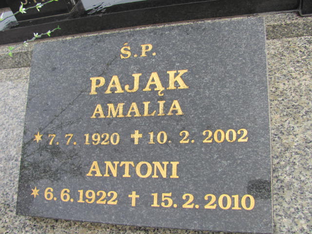 Tekla Pająk 1888 Czechowice Dziedzice - Grobonet - Wyszukiwarka osób pochowanych
