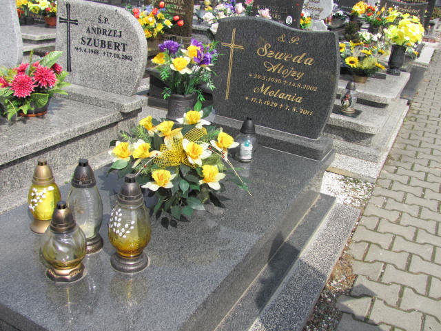 Grób Alojzy Szweda